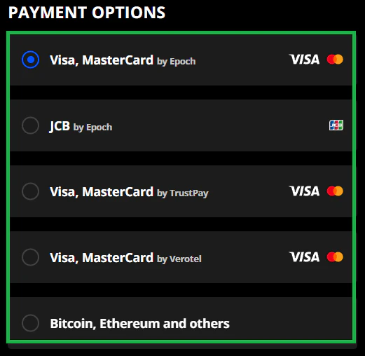 SEXLIKEREAL支払オプション